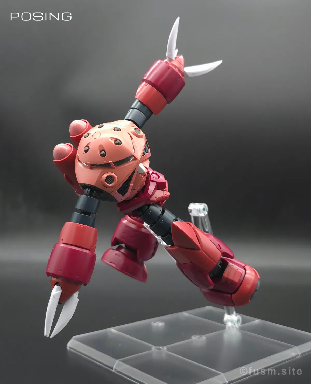 RG MSM-07S シャア専用ズゴック レビュー ポージング 07