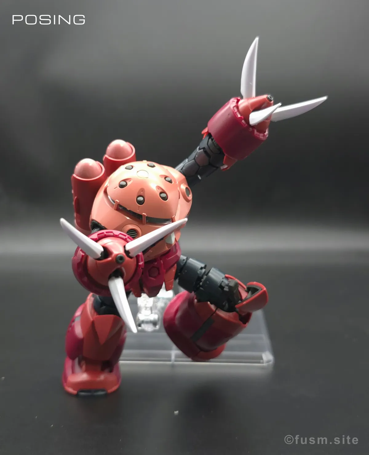 RG MSM-07S シャア専用ズゴック レビュー ポージング 08