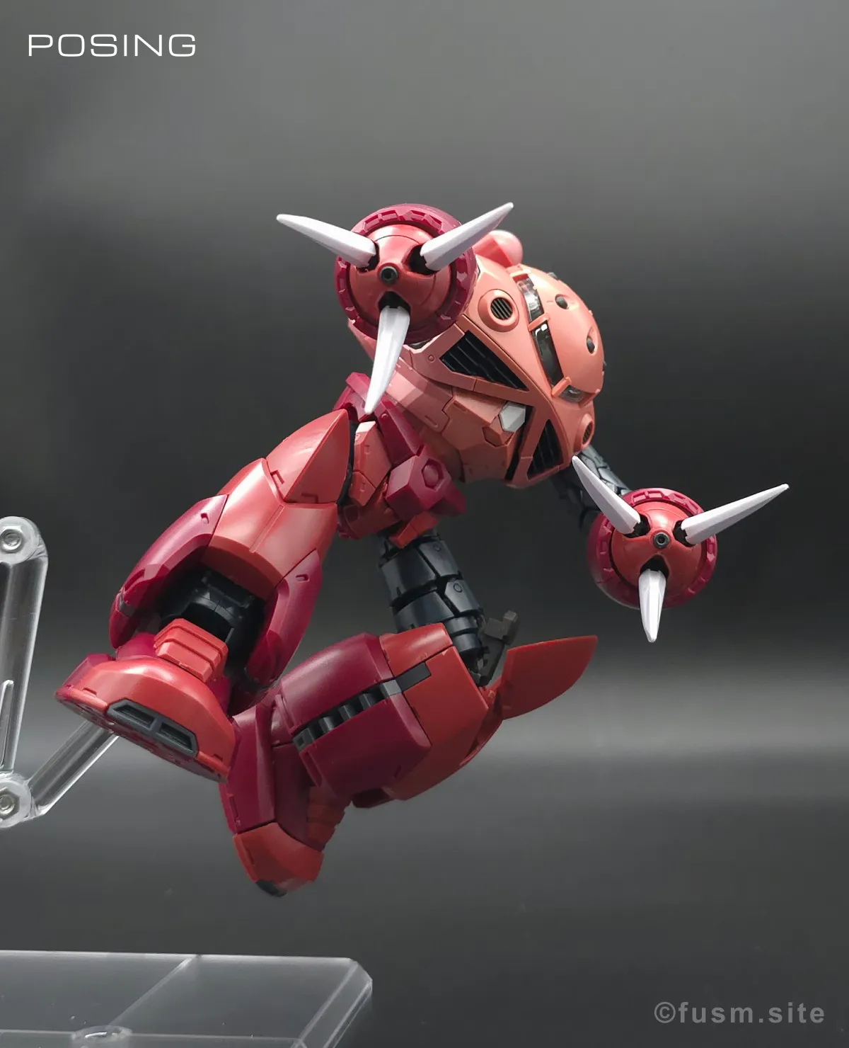 RG MSM-07S シャア専用ズゴック レビュー ポージング 09