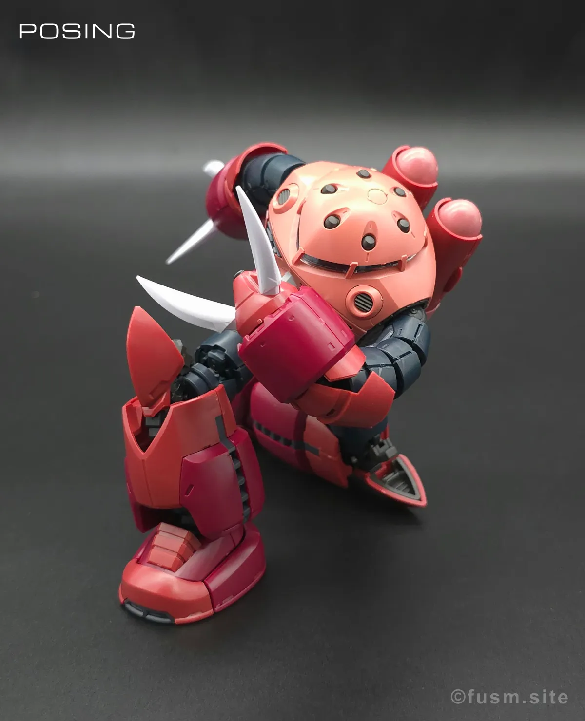 RG MSM-07S シャア専用ズゴック レビュー ポージング 10