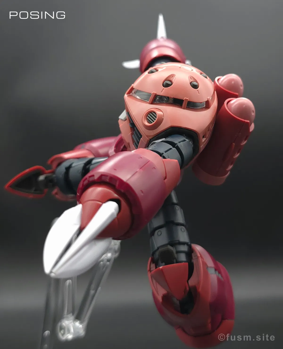 RG MSM-07S シャア専用ズゴック レビュー ポージング 11
