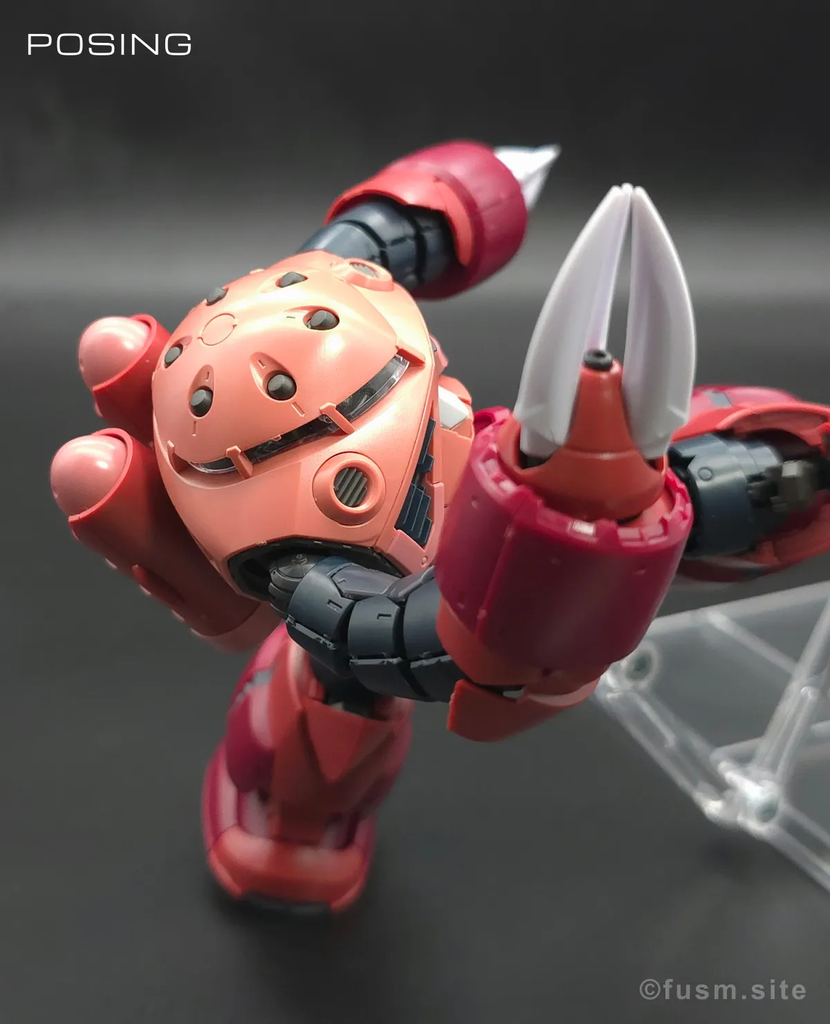 RG MSM-07S シャア専用ズゴック レビュー ポージング 12