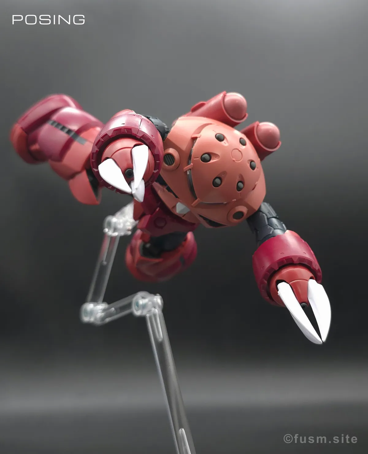 RG MSM-07S シャア専用ズゴック レビュー ポージング 13