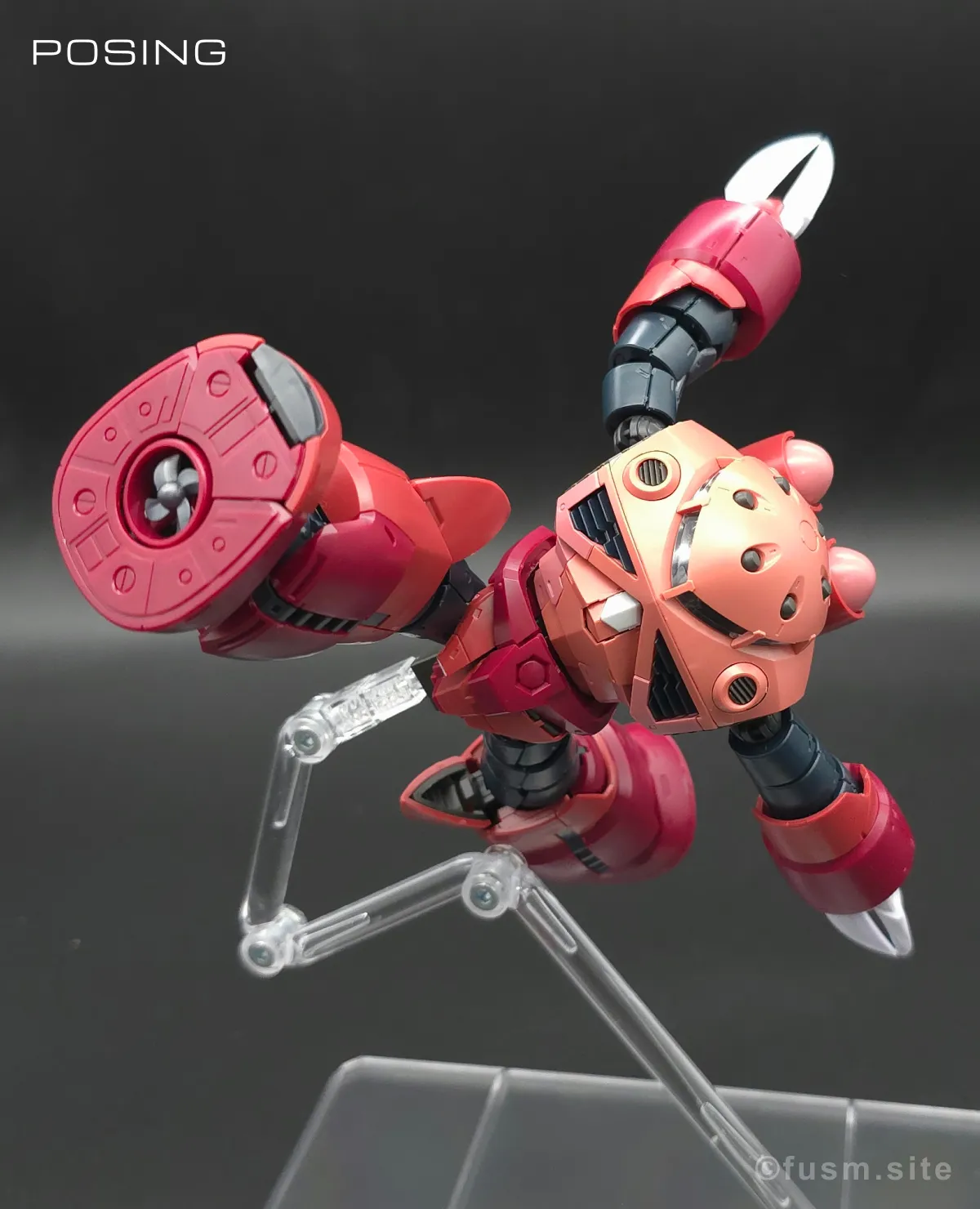 RG MSM-07S シャア専用ズゴック レビュー ポージング 14