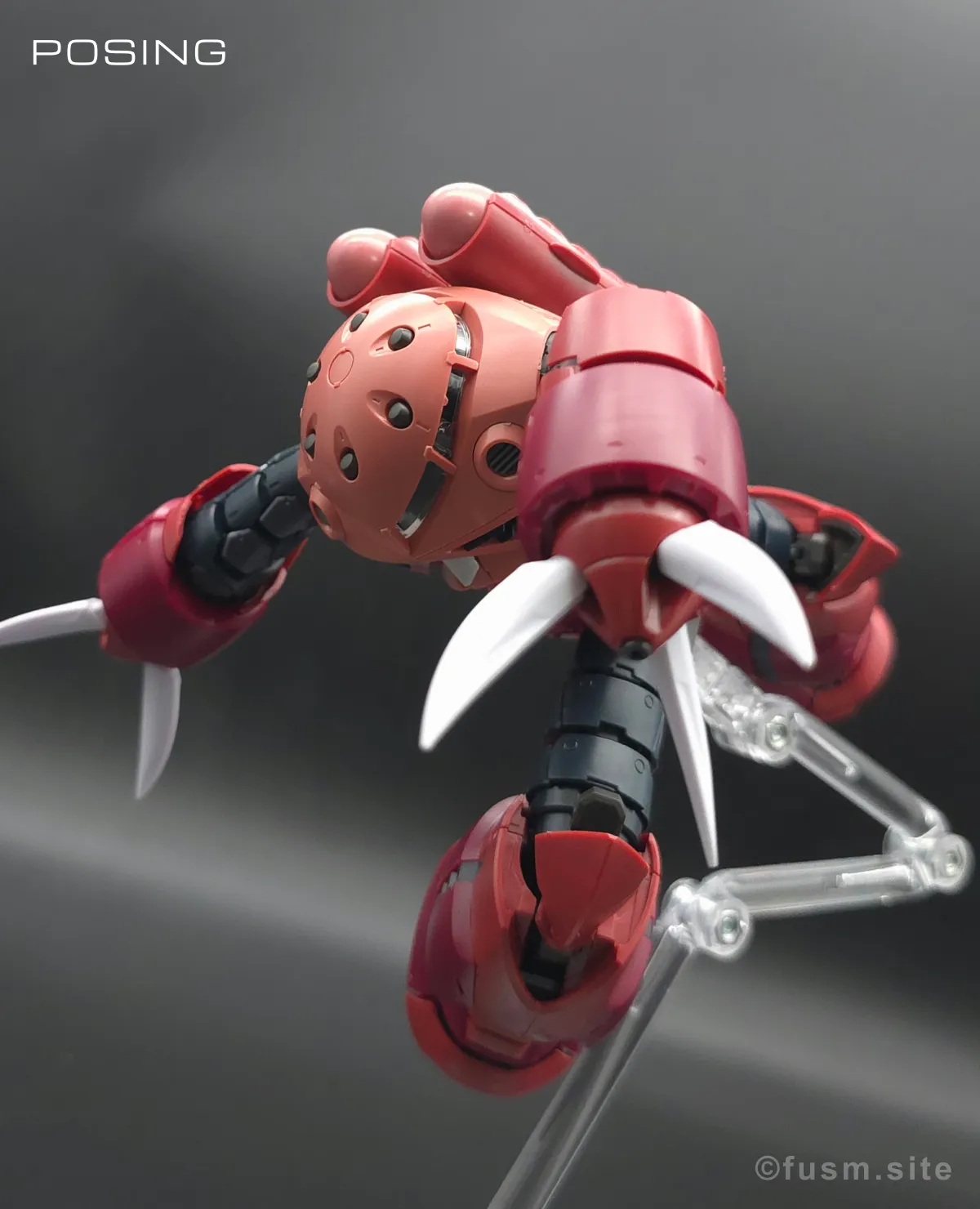 RG MSM-07S シャア専用ズゴック レビュー ポージング 15