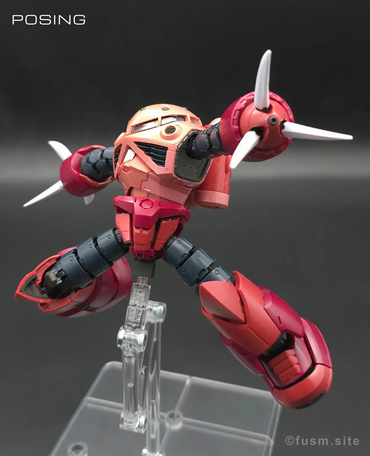 RG MSM-07S シャア専用ズゴック レビュー ポージング 16