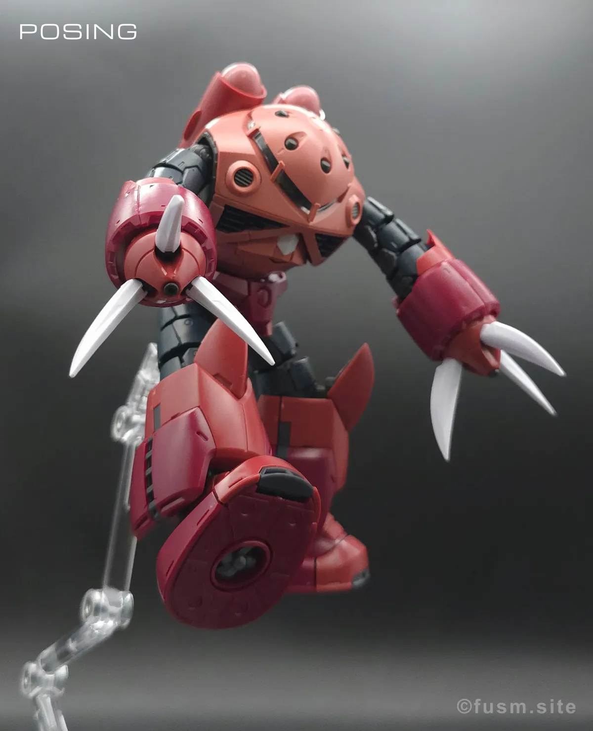 RG MSM-07S シャア専用ズゴック レビュー ポージング 17