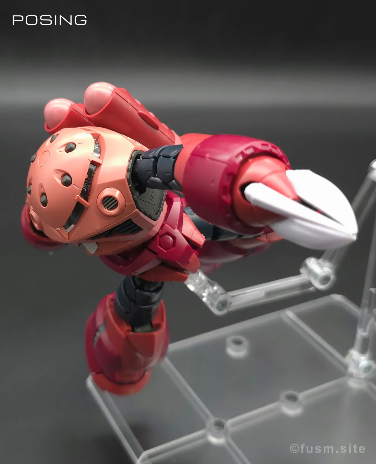 RG MSM-07S シャア専用ズゴック レビュー ポージング 18