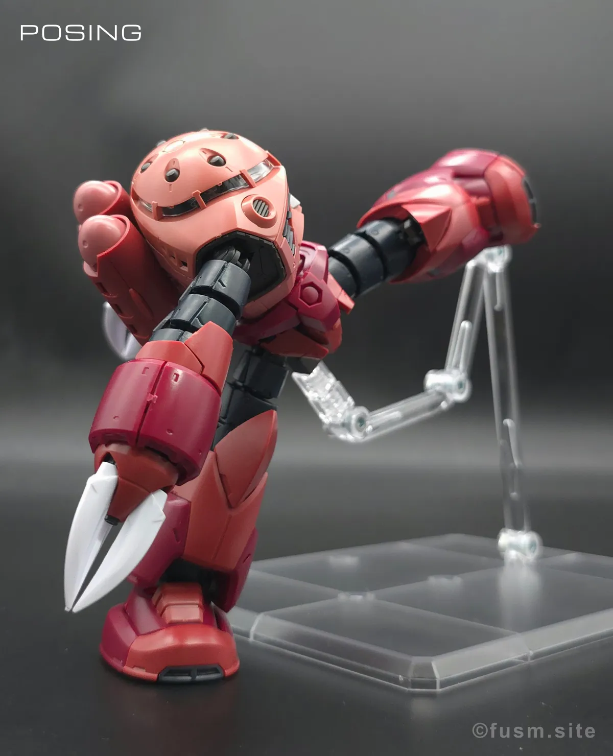 RG MSM-07S シャア専用ズゴック レビュー ポージング 19