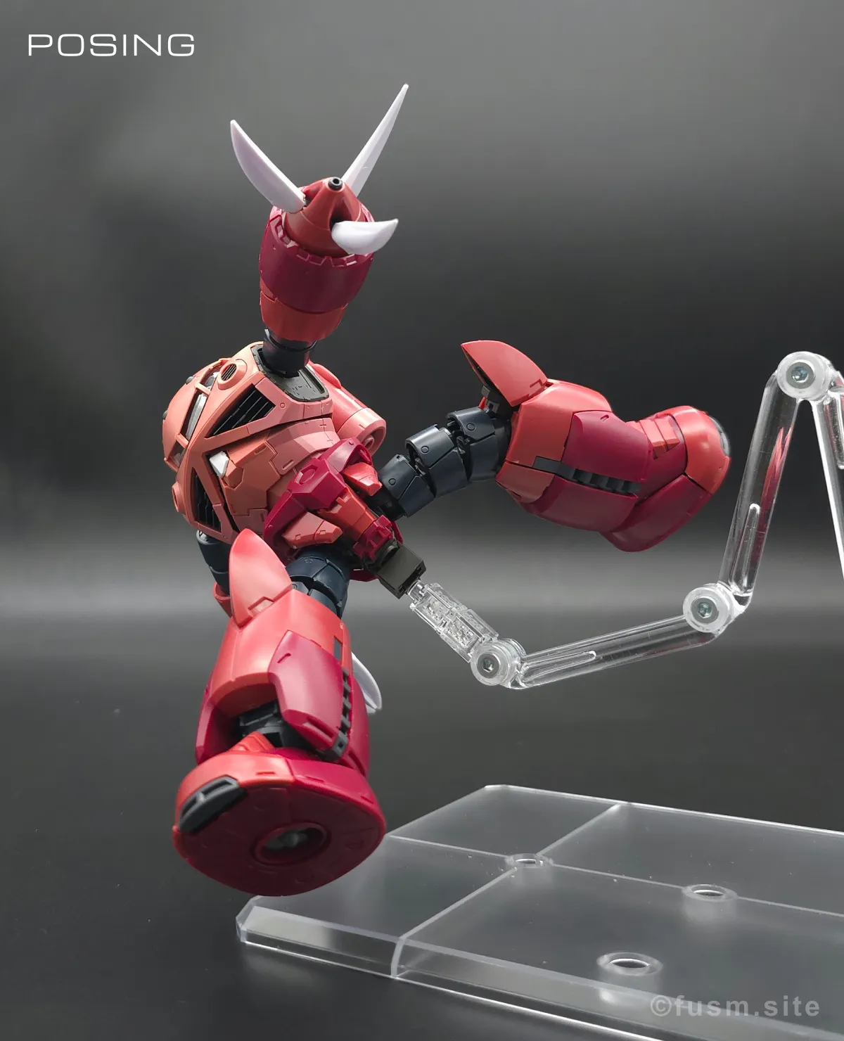 RG MSM-07S シャア専用ズゴック レビュー ポージング 20
