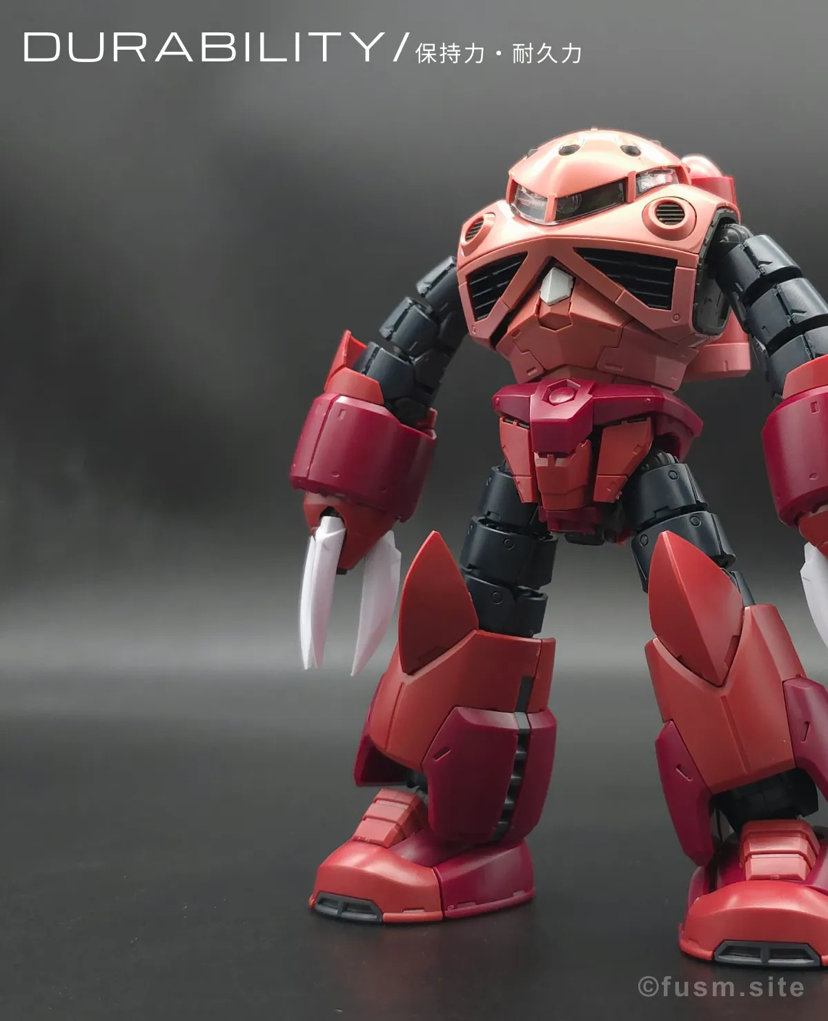 RG MSM-07S シャア専用ズゴック レビュー 耐久力が弱い箇所 00