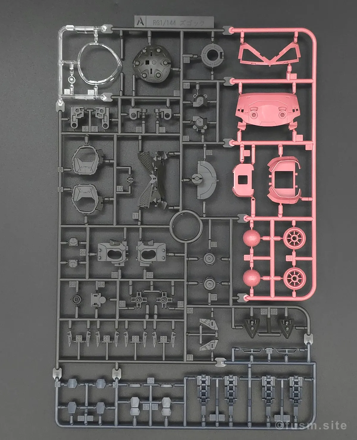 RG MSM-07S シャア専用ズゴック レビュー ランナー 01