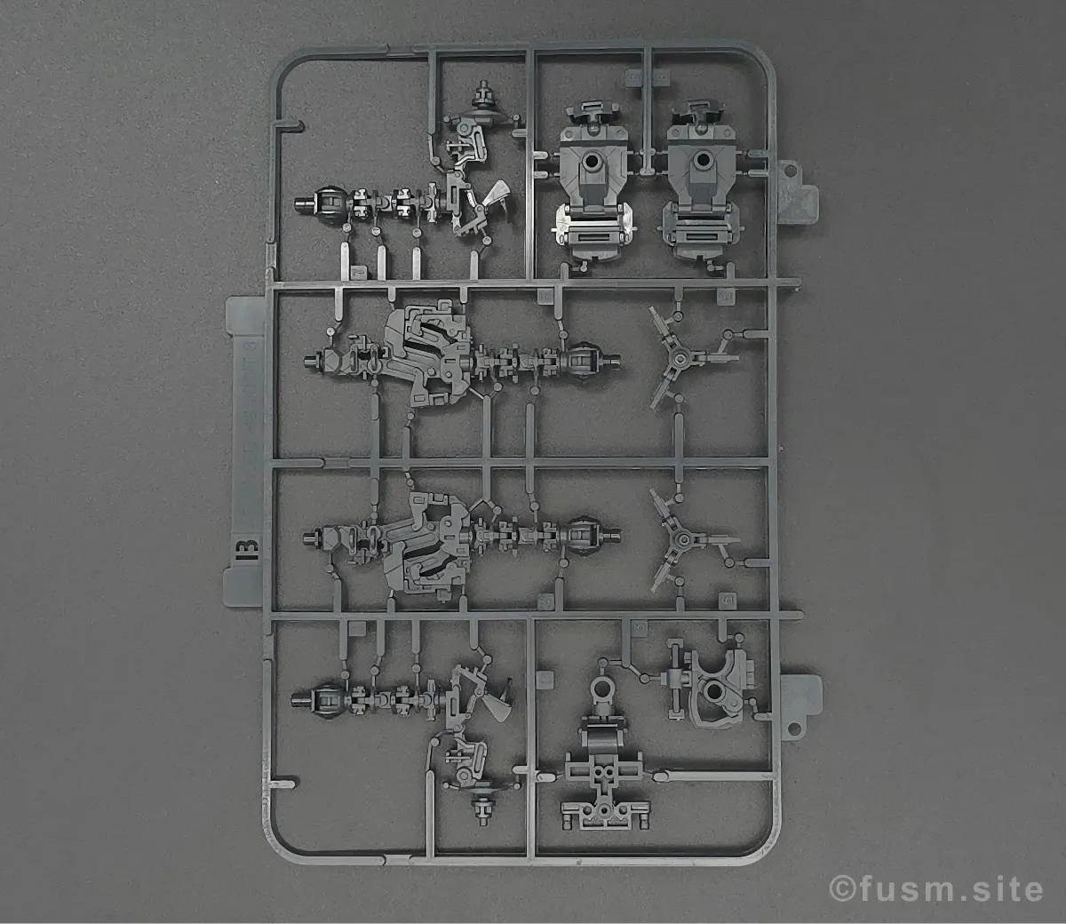 RG MSM-07S シャア専用ズゴック レビュー ランナー 02