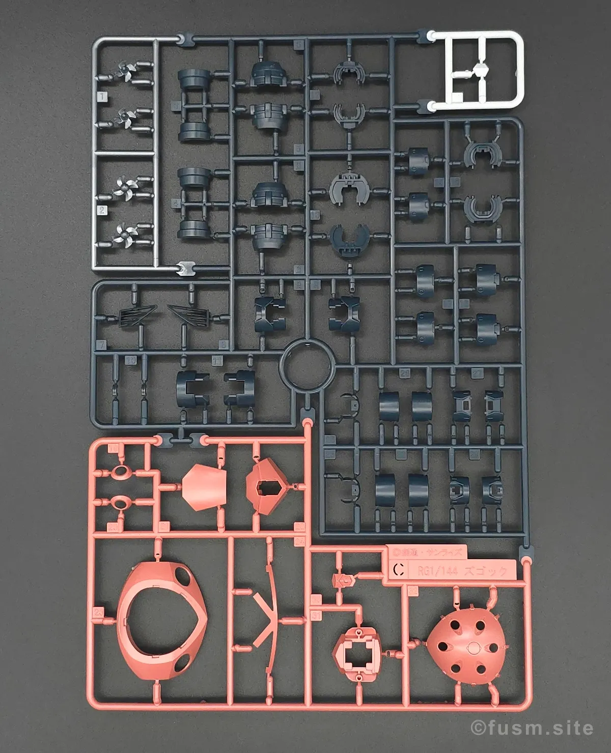 RG MSM-07S シャア専用ズゴック レビュー ランナー 03