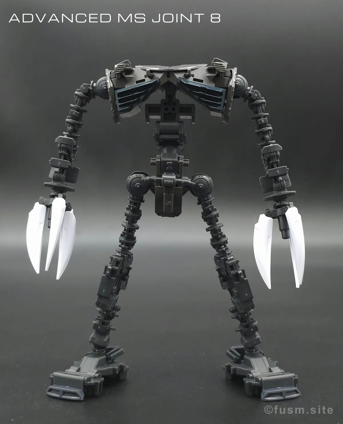 RG MSM-07S シャア専用ズゴック レビュー 01