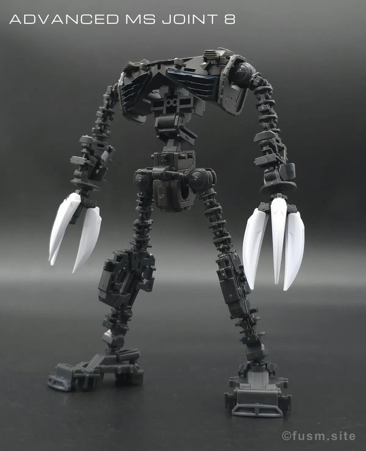 RG MSM-07S シャア専用ズゴック レビュー 02