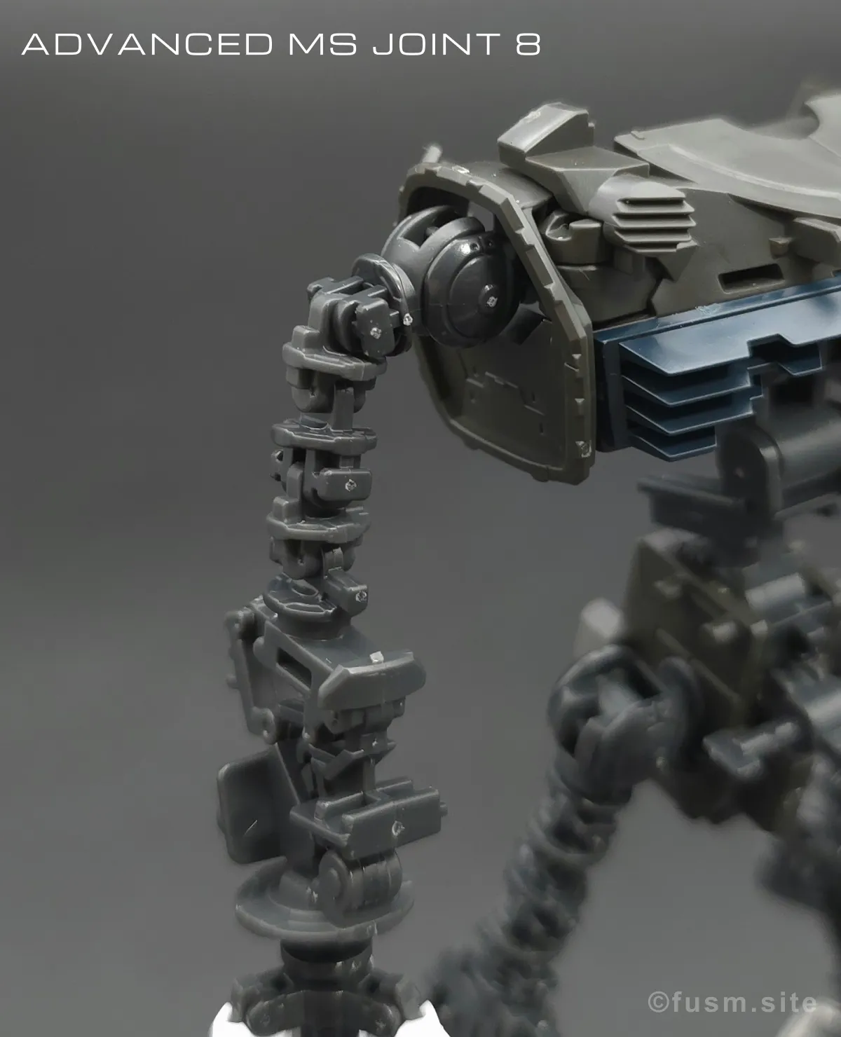 RG MSM-07S シャア専用ズゴック レビュー 09