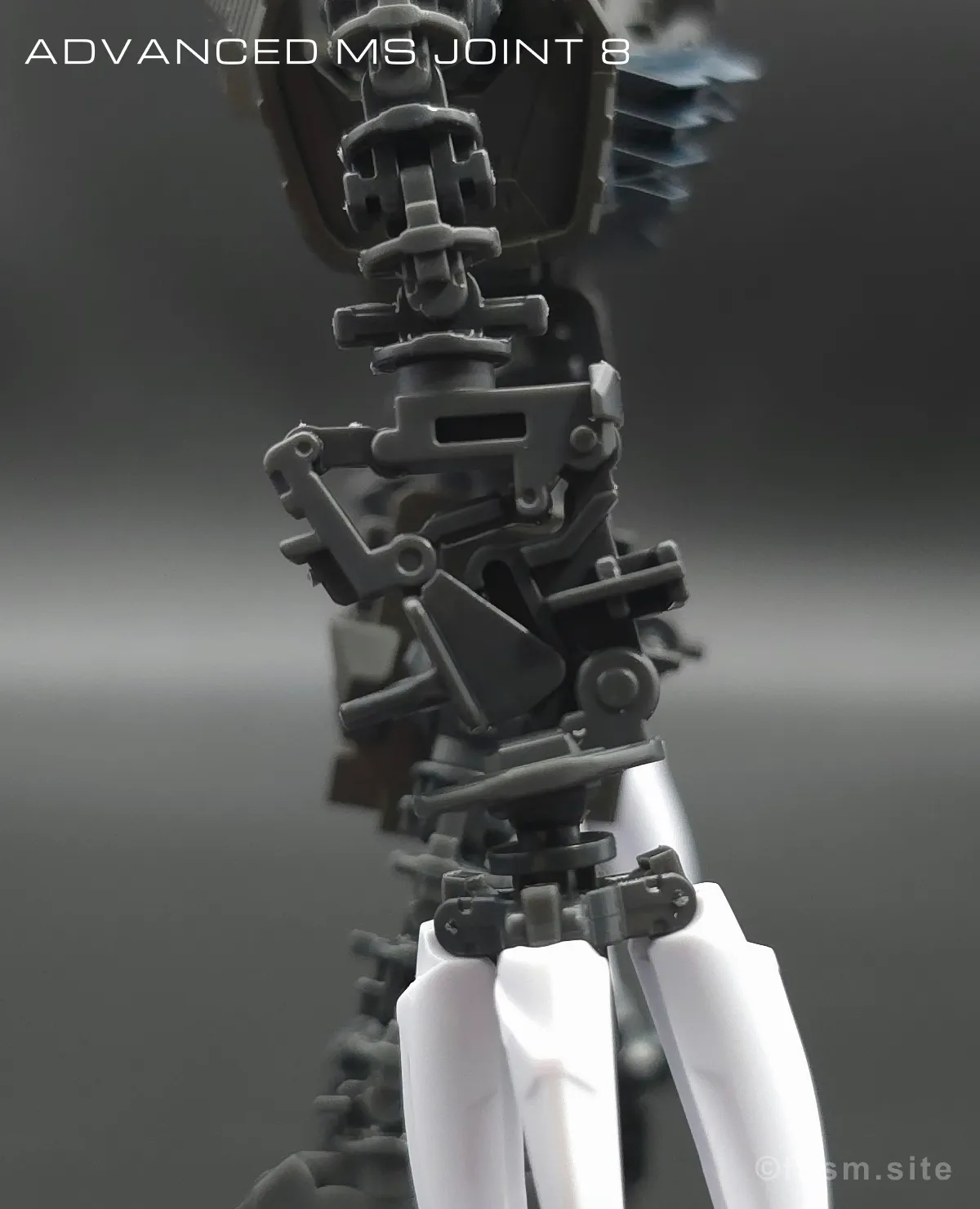 RG MSM-07S シャア専用ズゴック レビュー 10