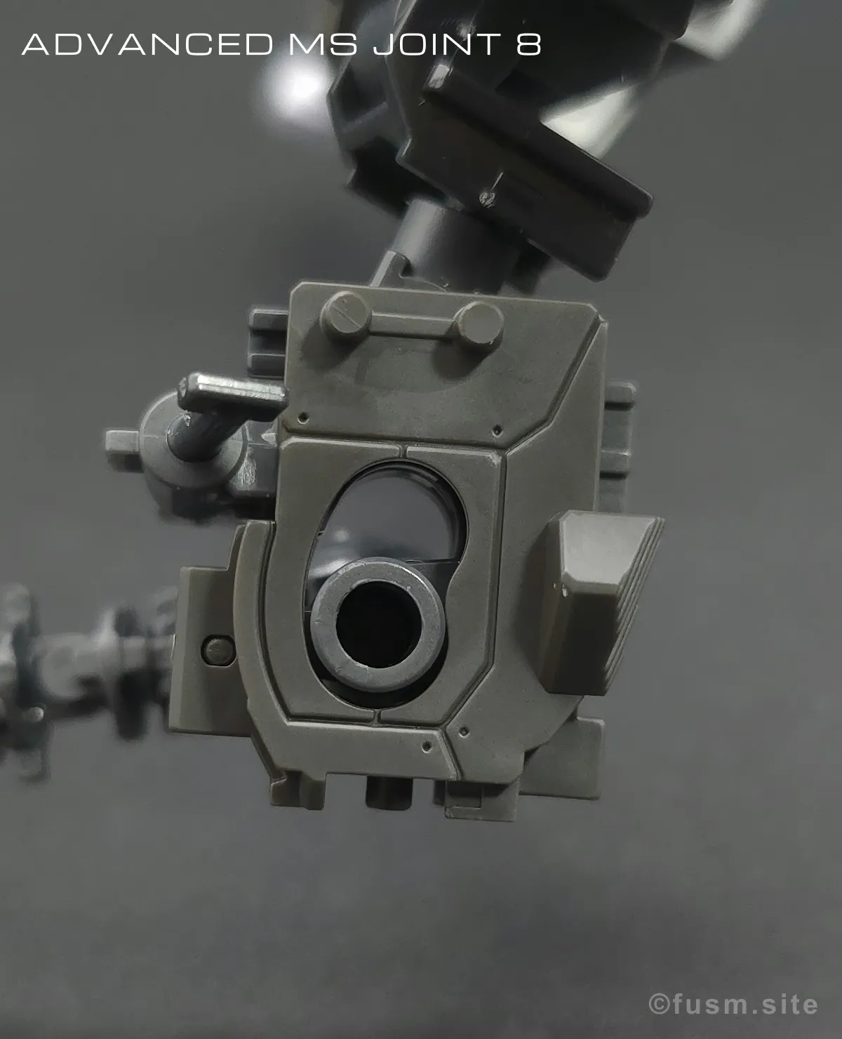 RG MSM-07S シャア専用ズゴック レビュー 15