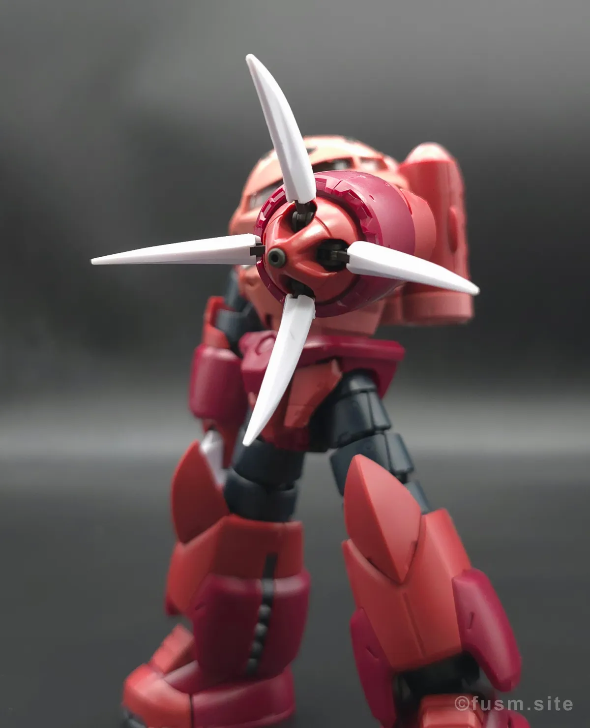 RG MSM-07S シャア専用ズゴック レビュー 付属品 1
