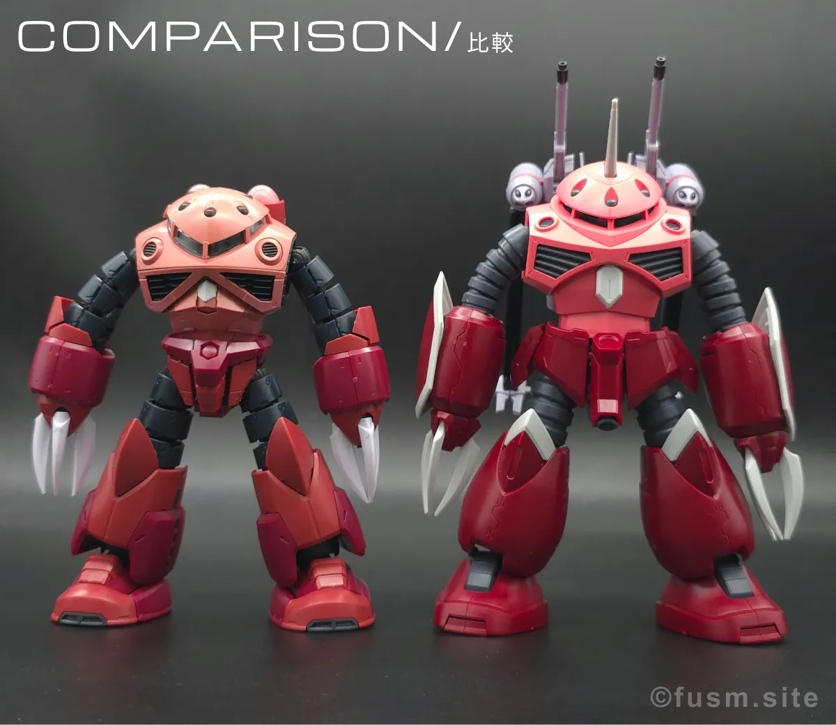 RG MSM-07S シャア専用ズゴック レビュー 比較 01