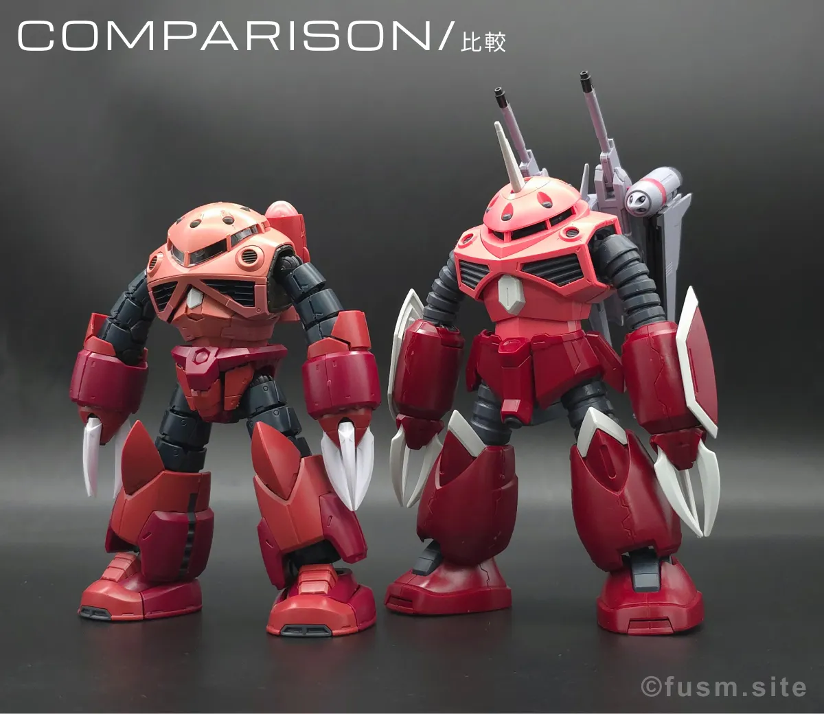 RG MSM-07S シャア専用ズゴック レビュー 比較 02