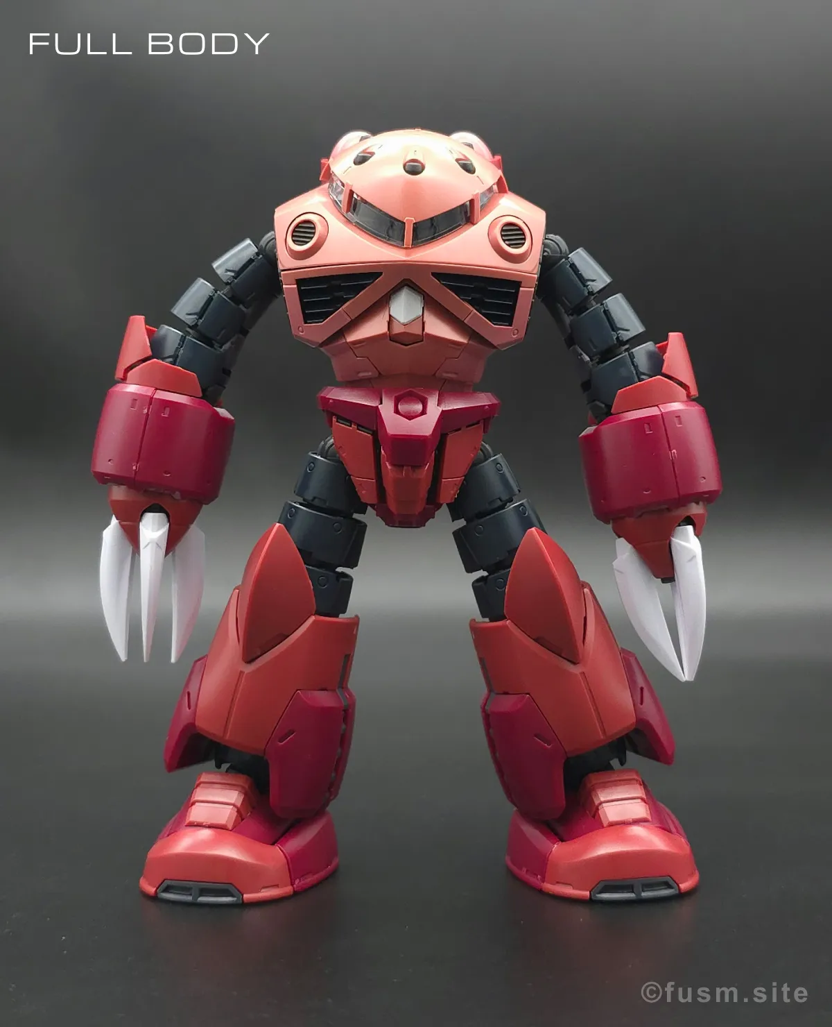 RG MSM-07S シャア専用ズゴック レビュー 多角的に見た全体の外観・素組み 01