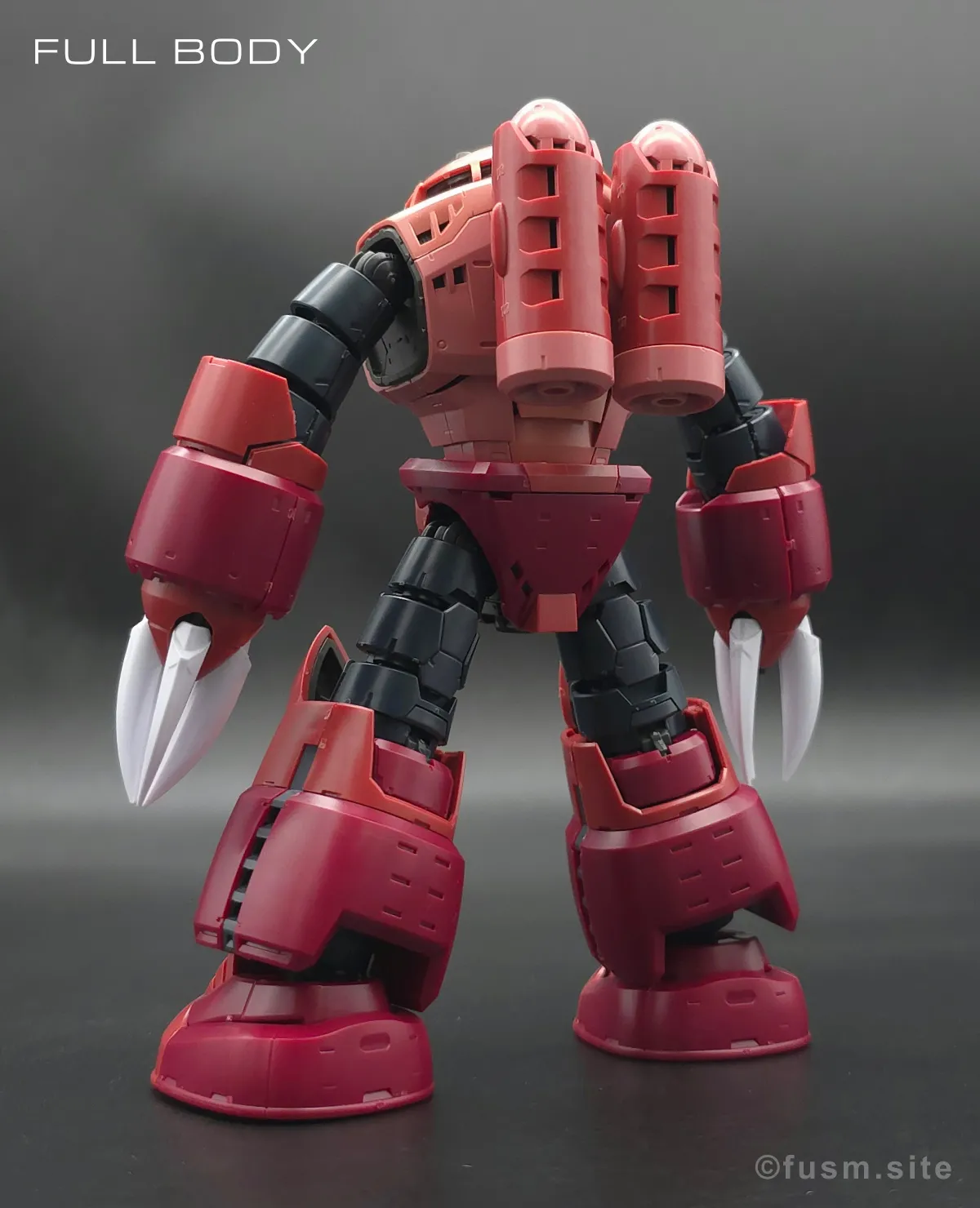 RG MSM-07S シャア専用ズゴック レビュー 多角的に見た全体の外観・素組み 03