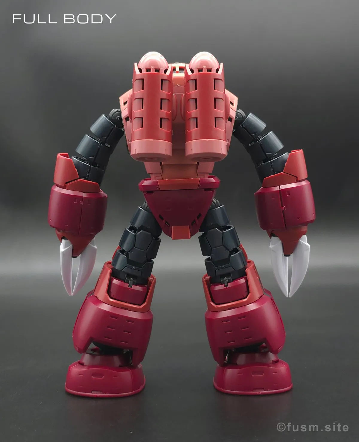 RG MSM-07S シャア専用ズゴック レビュー 多角的に見た全体の外観・素組み 04