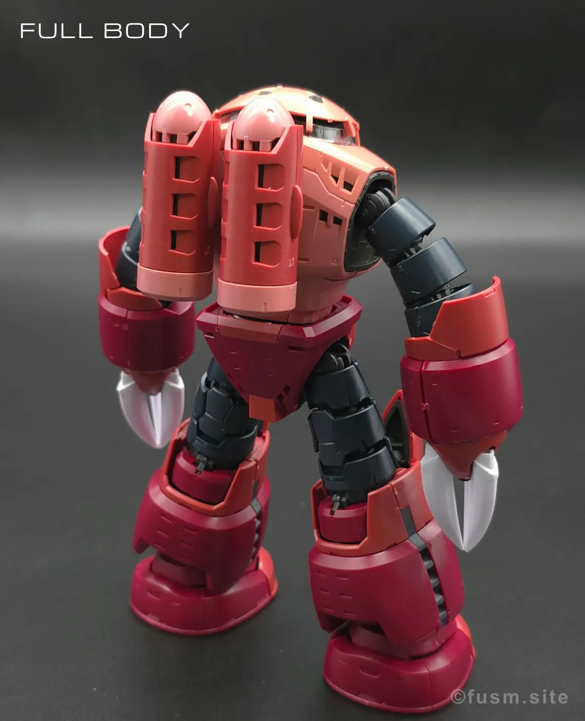 RG MSM-07S シャア専用ズゴック レビュー 多角的に見た全体の外観・素組み 05