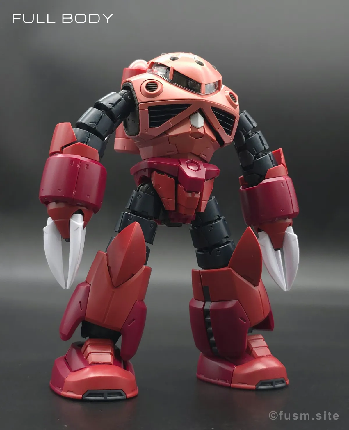 RG MSM-07S シャア専用ズゴック レビュー 多角的に見た全体の外観・素組み 06