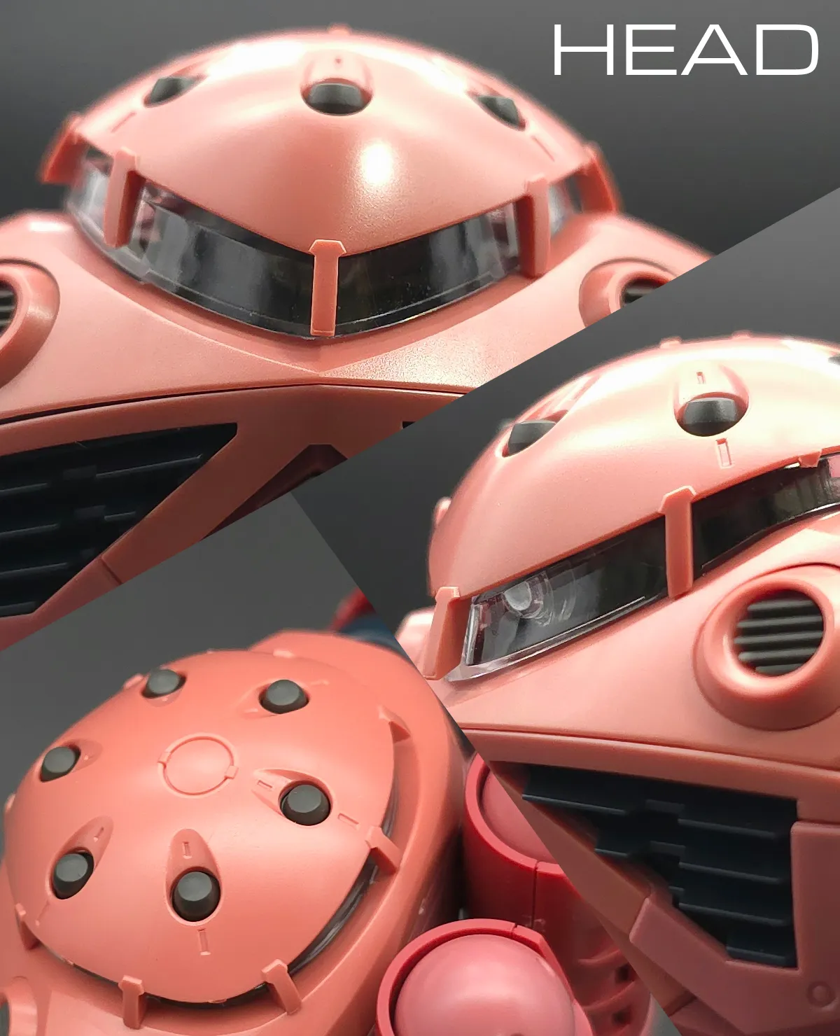 RG MSM-07S シャア専用ズゴック レビュー 頭部ディテール 01
