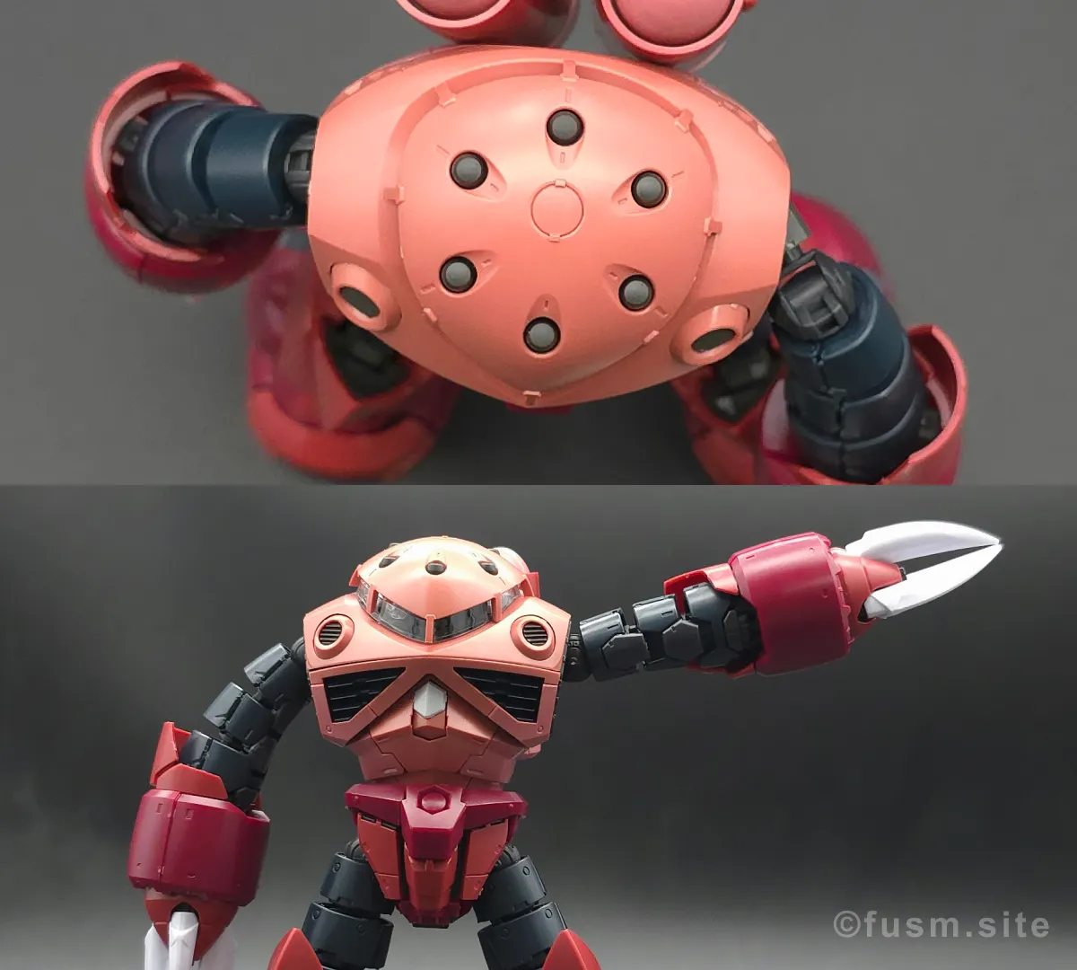 RG MSM-07S シャア専用ズゴック レビュー 肩ディテール 可動域 01